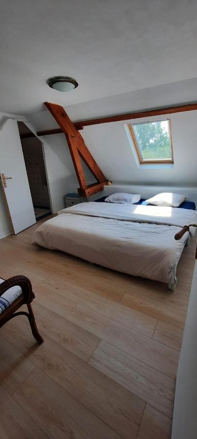 Chambres D'Hotes Domaine La Touche Pleine-Fougères Eksteriør bilde
